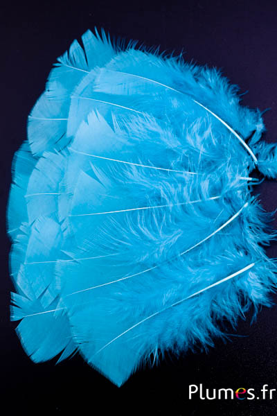 Dinde - 6-8 cm - glace